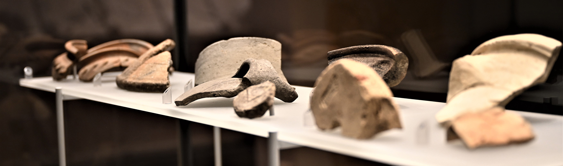 sezione-archeologica-musei-civici-treviso